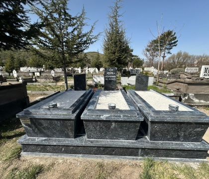 SM-1065
